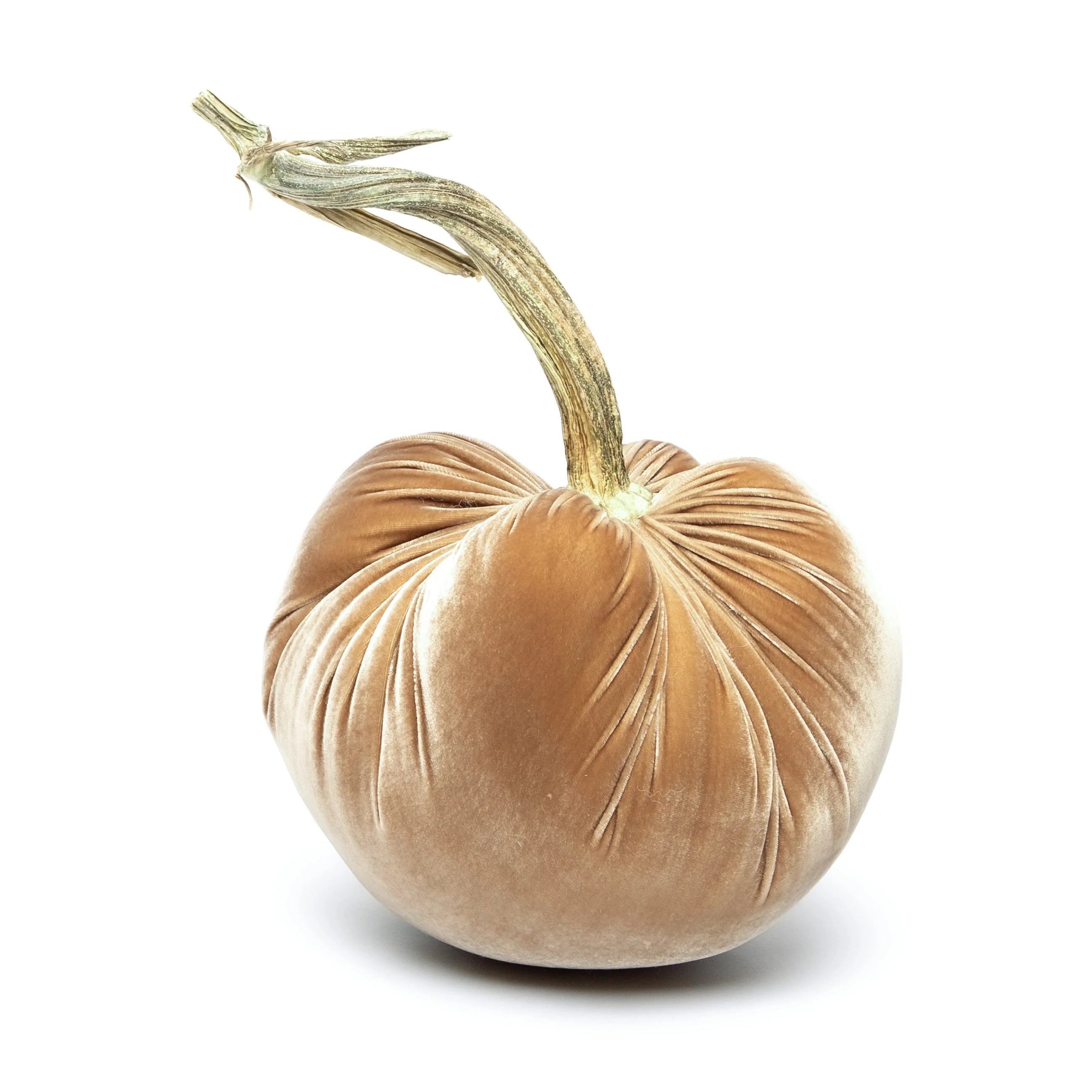 Latte Silk 12" Silk Velvet Pumpkin