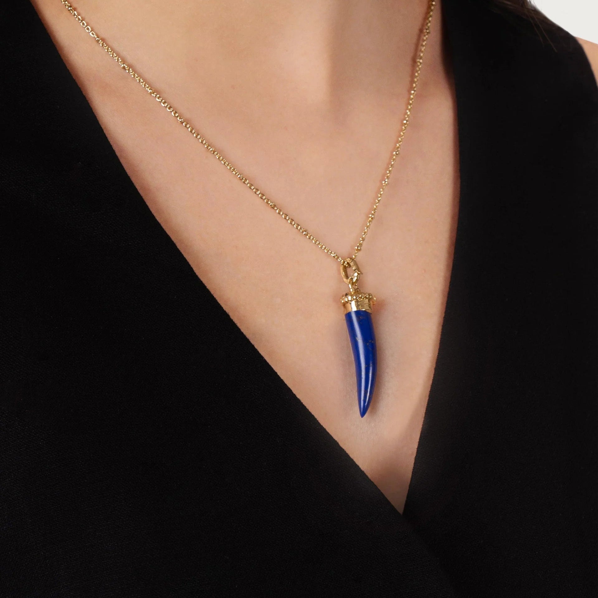 Forza Stone Horn Charm