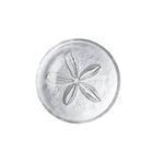 Sand Dollar Plate