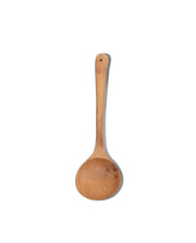 ASI Ladle