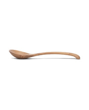 ASI Ladle
