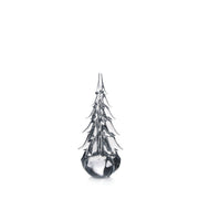 Five Sided Evergreen