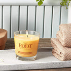 Tangerine Lemongrass Small Veriglass Candle