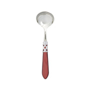 Aladdin Brilliant Sauce Ladle