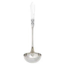 Aladdin Brilliant Soup Ladle