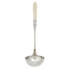 Aladdin Brilliant Soup Ladle