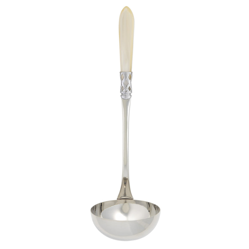 Aladdin Brilliant Soup Ladle