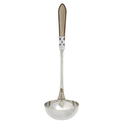 Aladdin Brilliant Soup Ladle