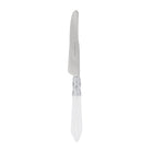 Aladdin Brilliant Place Knife