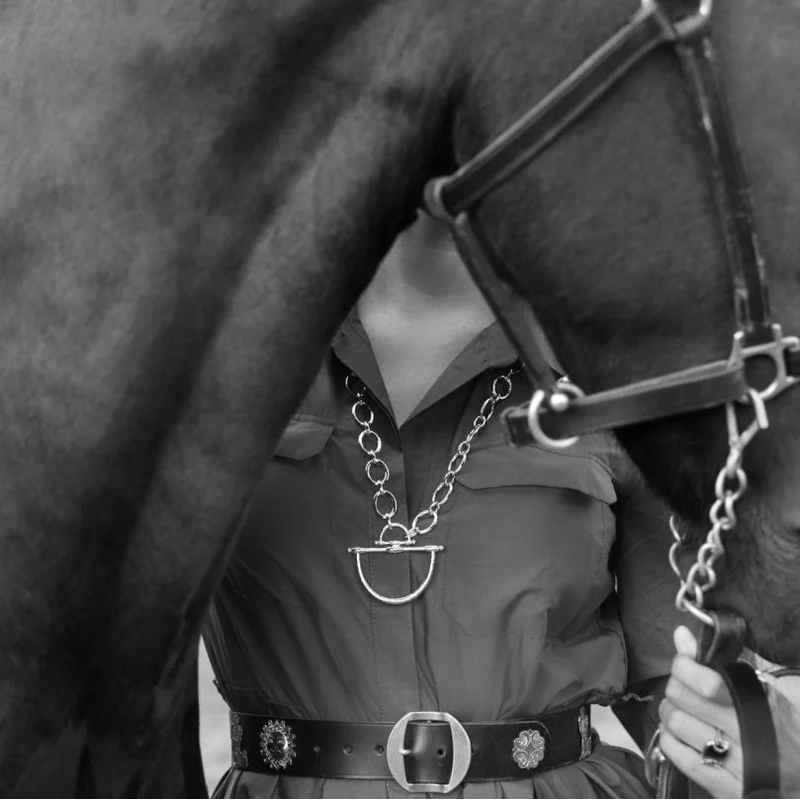 Cheval Bit Pendant