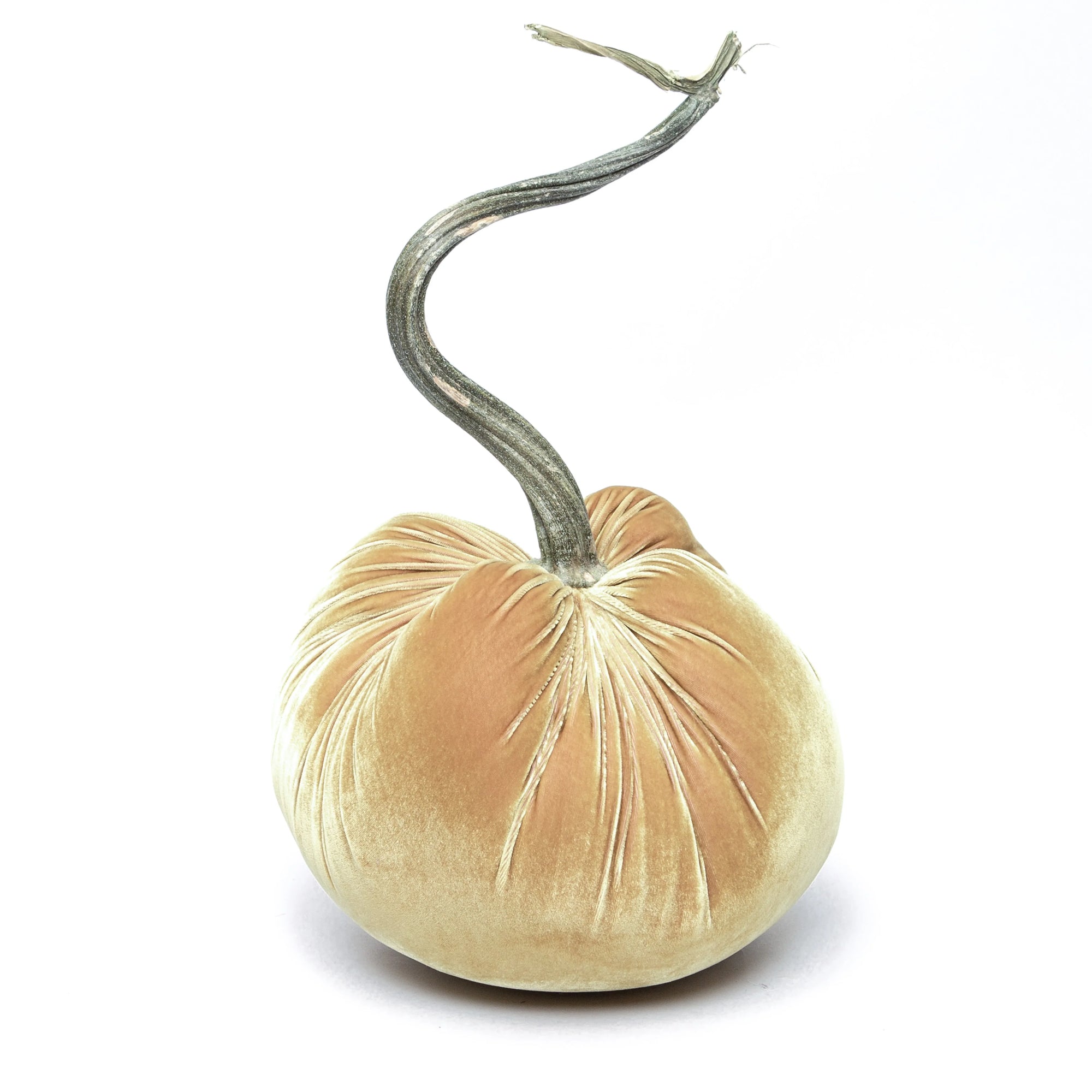 Creamed Corn 12" Silk Velvet Pumpkin