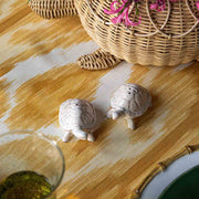 Clever Creatures Turtle Salt and Pepper Set