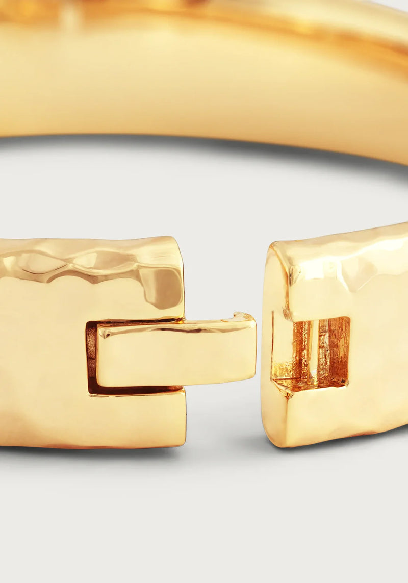 Farrier Wide Hinged Bangle