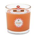 Seeking Balance 2-Wick Spa Candle Energize