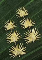 Triple Fan Palm Dangle Earrings