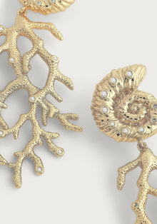 Shell with Coral Drop Earrings