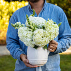 Le Panier Ceramic Pitcher