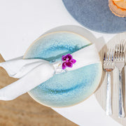Barre Dinner Plate