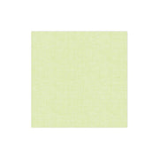 Papersoft Napkins Easy Dinner Napkins, Pack of 20