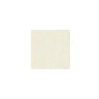 Papersoft Napkins Easy Cocktail Napkins, Pack of 20