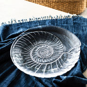 Shell Platter